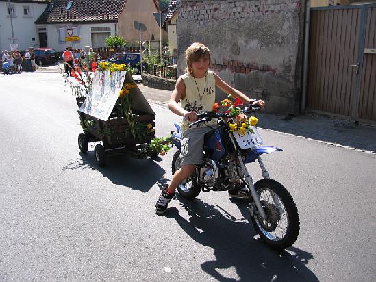 t1.jpg