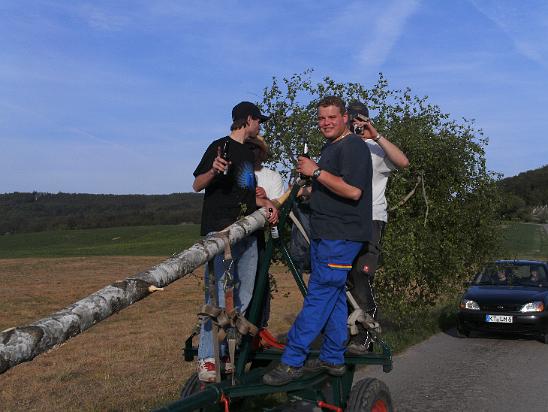 Maibaum017.JPG