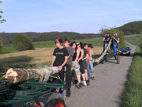 Maibaum019.JPG