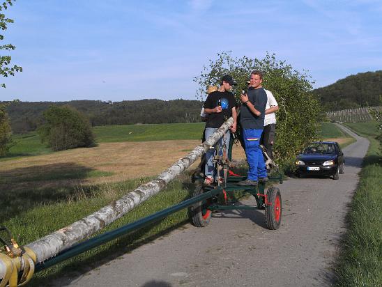 Maibaum020.JPG