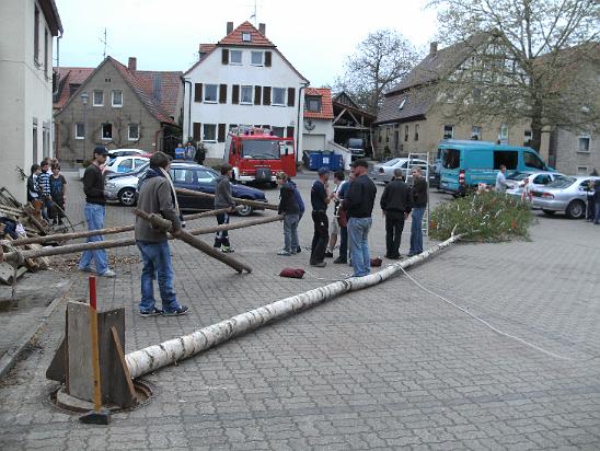 Maibaum031.JPG