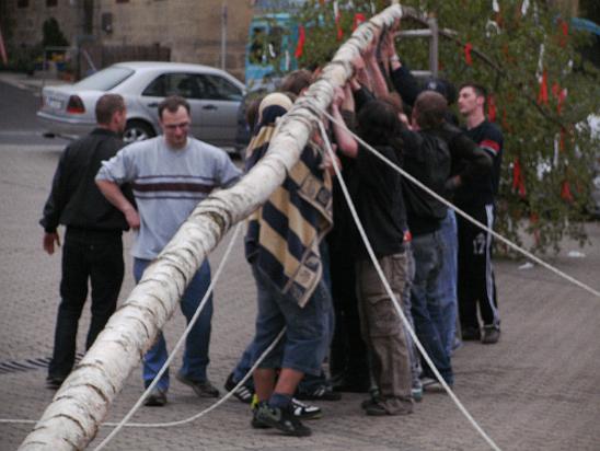 Maibaum032.JPG