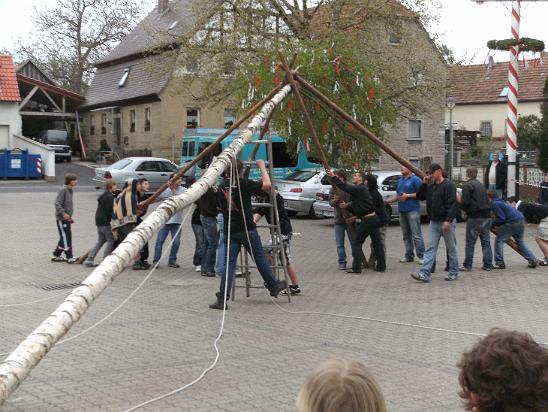 Maibaum034.JPG