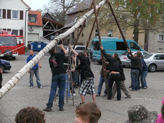 Maibaum035.JPG