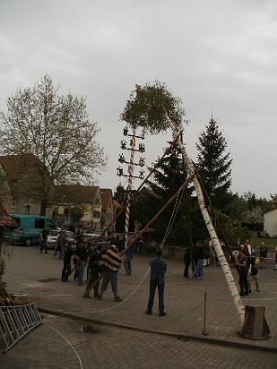 Maibaum039.JPG