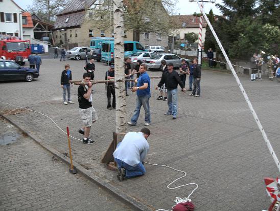 Maibaum042.JPG