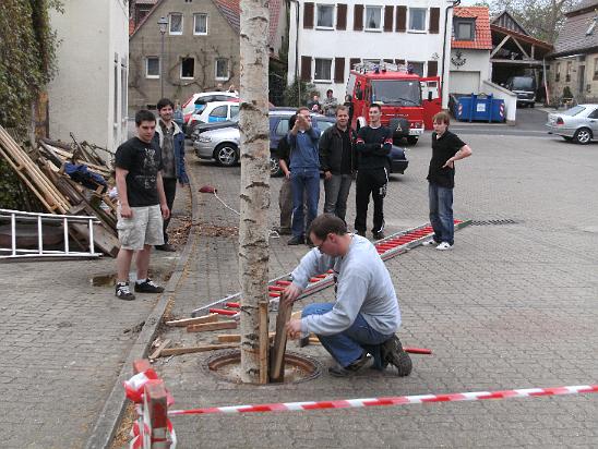Maibaum043.JPG