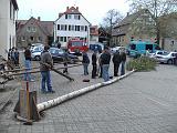 Maibaum031