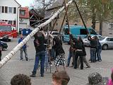 Maibaum035