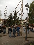 Maibaum040