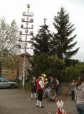 Maibaum049