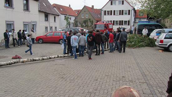 Maibaum012.jpg