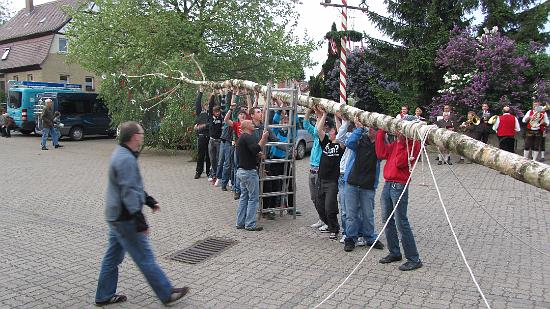 Maibaum015.jpg