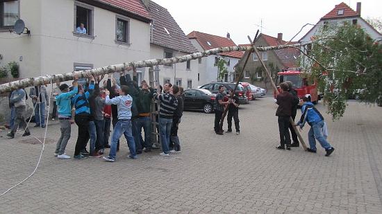 Maibaum019.jpg
