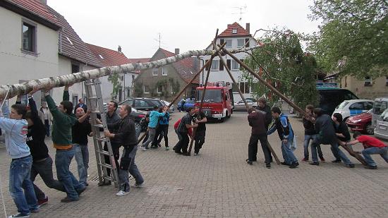 Maibaum023.jpg