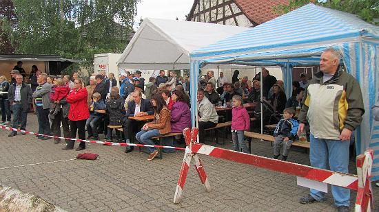 Maibaum028.jpg