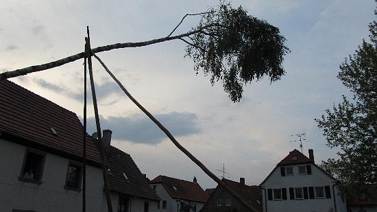 Maibaum032.jpg