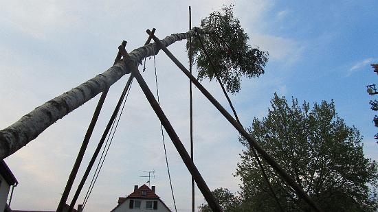 Maibaum035.jpg