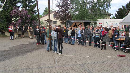 Maibaum037.jpg