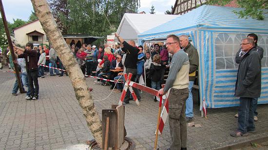 Maibaum041.jpg