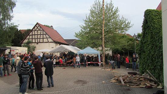 Maibaum044.jpg