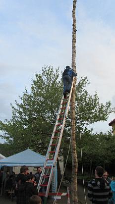 Maibaum046.jpg