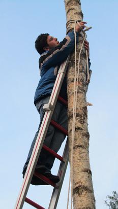 Maibaum047.jpg