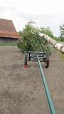 Maibaum003