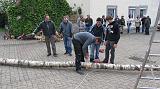 Maibaum013
