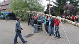 Maibaum015