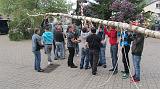 Maibaum016