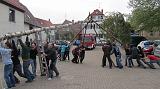 Maibaum023