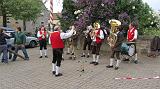 Maibaum024