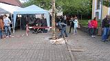 Maibaum045