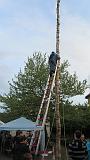 Maibaum046